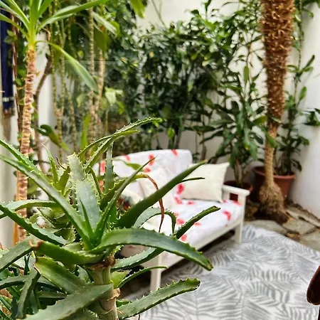 Il Giardino Segreto Bed & Breakfast *